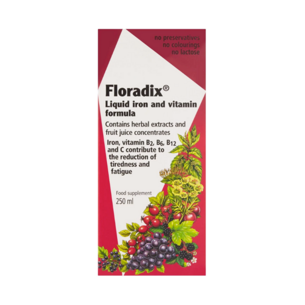 Floradix Iron Tonic 250ml