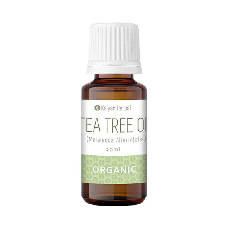 Kalyan Herbal Tea Tree Oil Organic 1 Kalyan Herbal Tea Tree Oil Organic