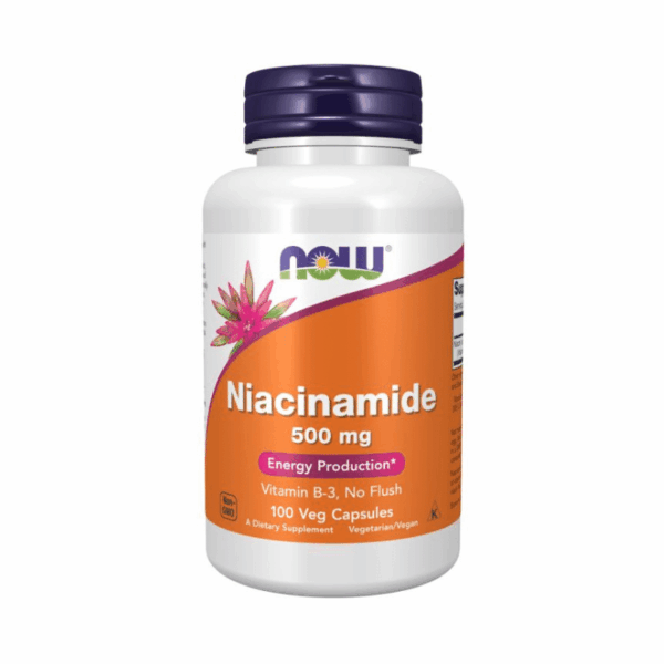 Now Foods Niacinamide B3 500mg 100