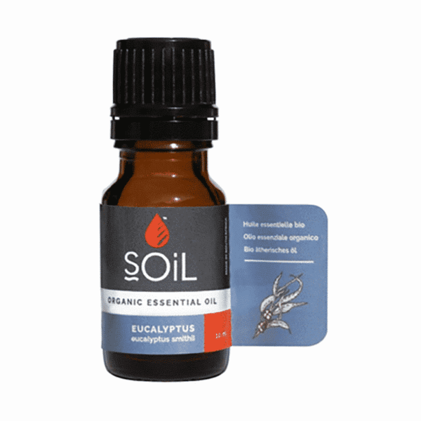 SOil Eucalyptus Organic Essential Oil