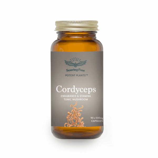 Soaring Free Superfoods Cordyceps Vegecaps 90