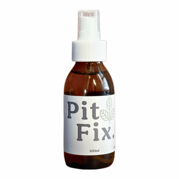 Pit Stop Pitfix 100Ml